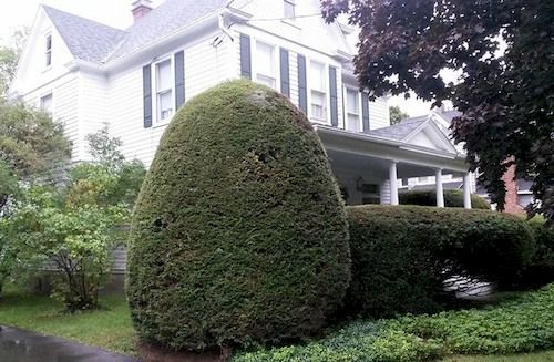 Park House Bed & Breakfast Johnson City Exterior photo